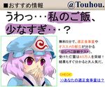  ad covering_mouth face hand_over_own_mouth hat meme parody pink_hair purple_eyes saigyouji_yuyuko solo too_low_salary touhou translated triangular_headpiece tsukasa_(honey) 