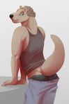  blue_eyes brown_fur brown_hair clothing fur hair jeans looking_at_viewer looking_back malachi_(ritts) male mammal mustelid otter raised_tail ritts shirt smile solo tank_top underwear 