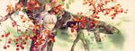  ginko male mushishi tagme urushibara_yuki 