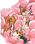  1girl animal_ears arc_system_works blazblue blazblue:_continuum_shift blush brown_hair digestion female girl makoto_nanaya namaenazo open_mouth squirrel_ears squirrel_tail tail vore 