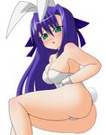  animal_ears ass bare_legs breasts bunny_ears bunnysuit fake_animal_ears ginga_nakajima green_eyes large_breasts leotard lyrical_nanoha mahou_shoujo_lyrical_nanoha_strikers purple_hair sawa_(snack_yoshie) solo tail thong_leotard 