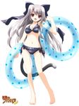  animal_ears bikini cat_ears cat_tail catgirl innertube mugen_no_fantasia nekomimi purple_eyes silver_hair smile swimsuit tail tube 