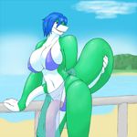  big_breasts big_penis bikini blue_hair breasts clothed clothing day dragon hair herm intersex loincloth ocean penis red_eyes sea seaside skimpy swimsuit tail translucent transparent unknown_artist water 