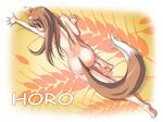  horo kemonomimi spice_and_wolf tagme 