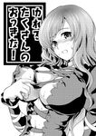  blush breasts greyscale hijiri_byakuren large_breasts long_hair monochrome nipples soba_(saz) solo touhou 