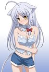  ahoge animal_ears bad_id bad_pixiv_id bare_shoulders blush braid breasts bustier dog_days large_breasts leonmitchelli_galette_des_rois lingerie long_hair navel shira-nyoro short_shorts shorts silver_hair single_braid solo tail underwear yellow_eyes 