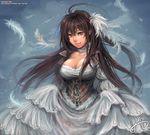  breasts brown_eyes brown_hair cleavage corset dansearl dress feathers hair_feathers large_breasts long_hair original skirt skirt_lift smile solo 