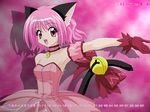  calendar kemonomimi mew_ichigo momomiya_ichigo sugimura_tomokazu tokyo_mew_mew 