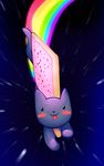  feline mammal nyan_cat poptart rainbow solo space stars tail unknown_artist 