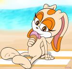  anthro beach_towel cpctail cream_the_rabbit female fur genitals hi_res humanoid_genitalia lagomorph leporid looking_at_viewer mammal paws pussy rabbit sega smile solo sonic_the_hedgehog_(series) towel 