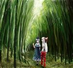  bad_id bad_pixiv_id bamboo fujiwara_no_mokou hand_in_pocket highres kamishirasawa_keine multiple_girls nature pointing scenery touhou vellion00 walking 