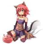  :3 animal_ears assassin_(ragnarok_online) bad_id bad_pixiv_id bell bell_collar blue_eyes cat_ears cat_tail character_request collar full_body long_hair maho_(boku_no_kao_wo_otabeyo) male_focus misty_(ragnarok_online) otoko_no_ko pink_hair poring ragnarok_online shadow short_hair sitting solo tail tareme wariza 