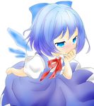  blue_eyes blue_hair blush cirno iyokan_zeri maki_(natoriumu) ribbon short_hair solo touhou wings 