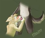  anthro blush canine duo ear_piercing earring forced forced_oral gay knot maim male mammal oral oral_sex penis piercing sex tail 