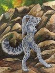  breasts caribou_(artist) feline female hair leopard long_hair mammal nude sara_palmer snow_leopard solo standing 