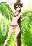  against_tree areolae arm_up armpits bikini brown_eyes brown_hair crotchless_swimsuit flat_chest fujioka_haruhi joy_division leaf legs micro_bikini nature navel nippleless_clothes ouran_high_school_host_club outdoors peekaboo_bikini pose short_hair smile solo standing swimsuit tomboy translated tree 