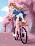  bicycle blue_eyes braid pantsu school_uniform schoolgirl tagme upskirt wink 