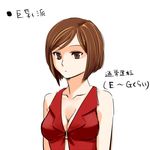  breasts brown_eyes brown_hair lowres medium_breasts meiko satou_m short_hair solo translated vocaloid 