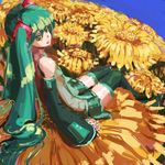  bad_id bad_pixiv_id elbow_gloves flower gloves green_eyes green_hair hatsune_miku long_hair minigirl miniskirt nrkfeb5 on_flower sitting skirt solo sunflower thighhighs twintails very_long_hair vocaloid zettai_ryouiki 