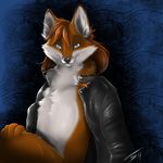  canine fox leather_jacket male mammal solo tassy 