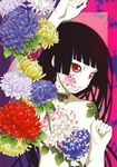  enma_ai hime_cut jigoku_shoujo jigoku_shoujo_mitsuganae nude screening 