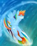  cartoonlion equine female friendship_is_magic fur hair horse mammal multi-colored_hair my_little_pony pegasus pink_eyes pony rainbow_dash_(mlp) rainbow_hair solo surf_board surfboard surfing water wings 