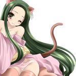  animal_ears cat_ears long_hair namamo_nanase panties solo suzumiya_haruhi_no_yuuutsu tail thighhighs tsuruya underwear very_long_hair 