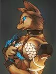  blue_eyes bracelet breasts canine claws collar female fox jewelry magic_the_gathering mammal nuko_cola_q solo 