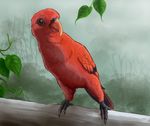  avian b_dog bdog bird feral lorikeet non-anthro red red_feathers red_lorikeet solo wings 