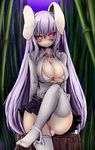  animal_ears bamboo bamboo_forest blush bra breasts bunny_ears bunny_tail cleavage covered_nipples forest large_breasts lingerie long_hair nature night no_panties okiraku_nikku open_clothes open_shirt panties panties_around_one_leg purple_hair pussy_peek red_eyes reisen_udongein_inaba shirt sitting skirt smile solo tail thighhighs touhou underwear very_long_hair white_bra white_legwear 