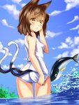  :&lt; animal_ears ass bad_id bad_pixiv_id blush brown_eyes brown_hair cat_ears cat_tail chen cloud day fish from_behind kyon_(fuuran) looking_back multiple_tails one-piece_swimsuit school_swimsuit sky solo swimsuit swimsuit_tug tail touhou wading water white_school_swimsuit white_swimsuit 