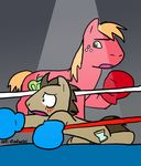  boxing_gloves caluriri cutie_mark doctor_whoof_(mlp) doctor_whooves_(mlp) draft_horse equine feral friendship_is_magic horse male mammal my_little_pony pony 