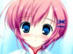  blue_eyes blush cute pink_hair shirakawa_nanaka short_hair 