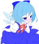  amemiya_shiki blue_eyes blue_hair blush cirno maki_(natoriumu) ribbon short_hair solo touhou wings 