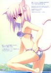  1girl absurdres animal_ears bikini blush cat_ears cat_tail character_request empathy erect_nipples fujisaki_rei highres kemonomimi long_hair looking_at_viewer looking_back mizugi nekomimi open_mouth pink_hair purple_eyes simple_background solo source_request standing_on_one_leg swimsuit tail translation_request wet 