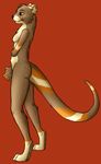  female hand leverpuller mammal mustelid nude orange_background otter plain_background pose solo standing webbed 
