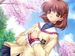  cg clannad furukawa_nagisa game_cg key tagme 