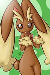  lagomorph looking_at_viewer lopunny mammal nintendo pok&#233;mon pok&eacute;mon ribbons solo tail unknown_artist video_games 