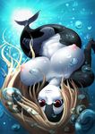  blonde_hair breasts bubble bubbles cetacean female furry hair homura homura_(haku89) killer_whale large_breasts long_blonde_hair long_hair looking_at_viewer mammal marine mermaid monster_girl nipples orca plump pussy red_eyes solo sunlight swimming uncensored underwater water whale yaise 