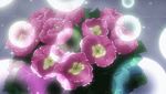  animated animated_gif black_eyes black_hair bra braid cap collar deadman_wonderland dressing flower flower_pot flowers gif lingerie lowres panties screencap subtitled takami_minatsuki underwear wristband 