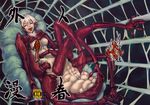  breasts carapace crease extra_eyes fangs guro highres insect_girl monster monster_girl multiple_eyes multiple_legs red_eyes spider spider_girl spider_web web white_hair 