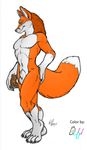  balls butt canine cock_in_sheath color d4u d4u_(color) fox fur hand_on_butt male mammal orange orange_fur penis plain_background pose richard_foley sheath solo tail white_background 