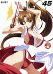  breasts cleavage izumi_mahiru king_of_fighters large_breasts mahirutei oppai queen&#039;s_gate shiranui_mai 