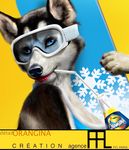  detail detailed dog drink eyewear female ffl_paris goggles husky mammal orangina solo straw surfboard 