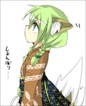  braid green_eyes green_hair kemonomimi kitsunemimi profile saitou_kon shingetsu_takehito solo tail twin_braids wafuku 