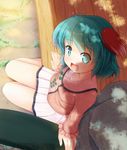  animal_ears aqua_eyes aqua_hair blush dress from_above green_eyes green_hair kasodani_kyouko looking_at_viewer niiya open_mouth short_hair sitting skirt smile solo touhou 