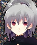  darker_than_black eyes face flower flowers red red_eyes silver_hair solo yin 