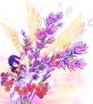  black_hair blue_hair coat decapitation durarara!! flower head high_res hug orihara_izaya pants petals plant purple_eyes rose tears wings 