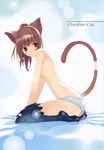  alice_in_wonderland cheshire_cat fancy_fantasia nekomimi pantsu tail thighhighs topless ueda_ryo 