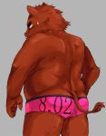  2011 amamiya anthro belly butt clothing humanoid_hands male mammal simple_background slightly_chubby solo suid suina sus_(pig) underwear wild_boar 